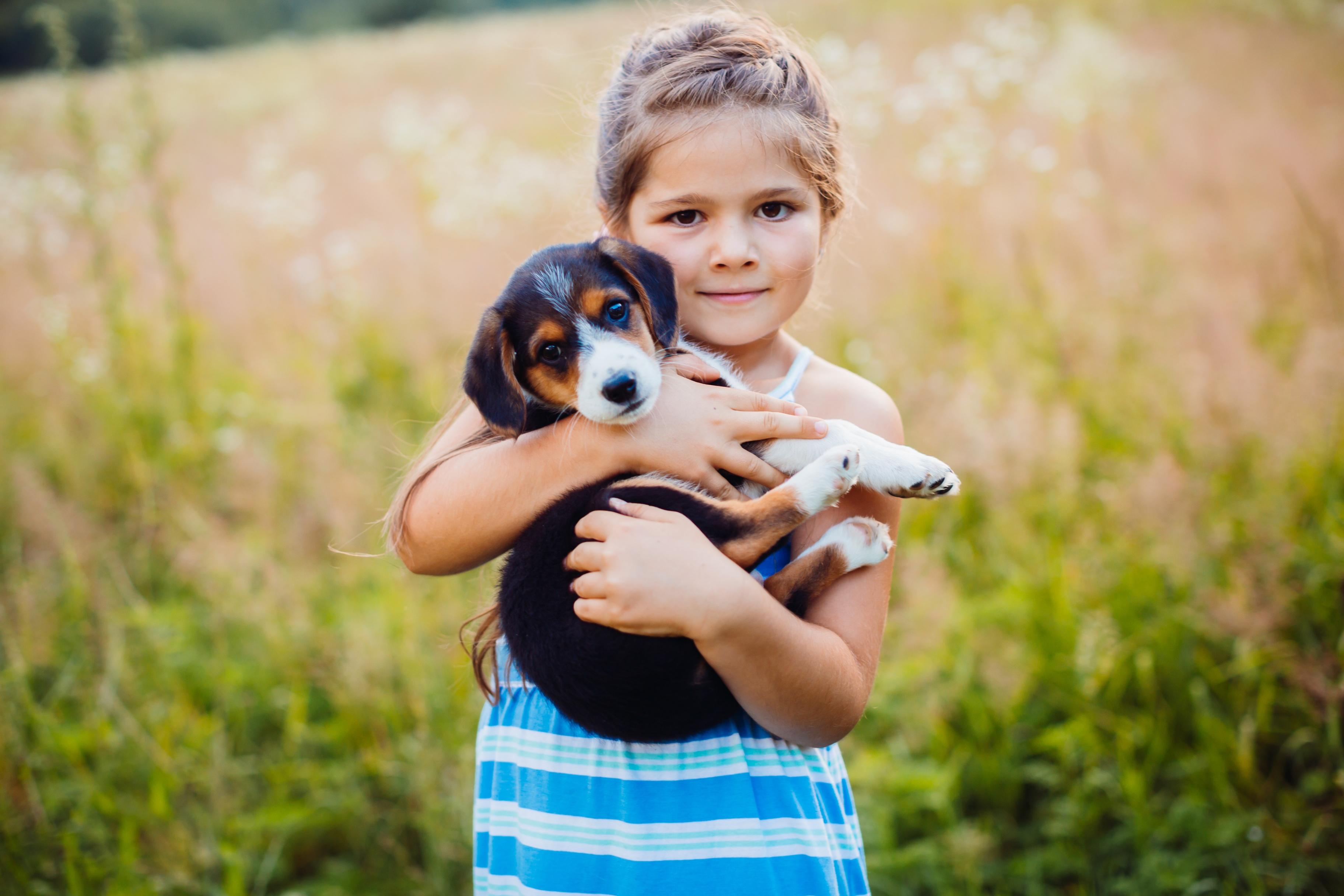 Девочка живет с собаками. Девочка и щенок. Щенок на руках. Девочка с собакой. Маленькая девочка с собачкой.
