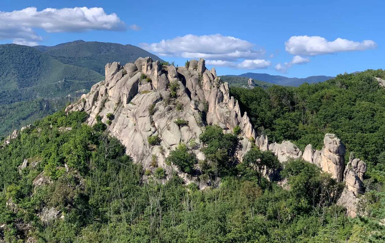 Парк драконов. Адрес — Приморский край., Лазовский р-н, с. Чистоводное.  Фото, режим работы, афиша и события. Приморский Край